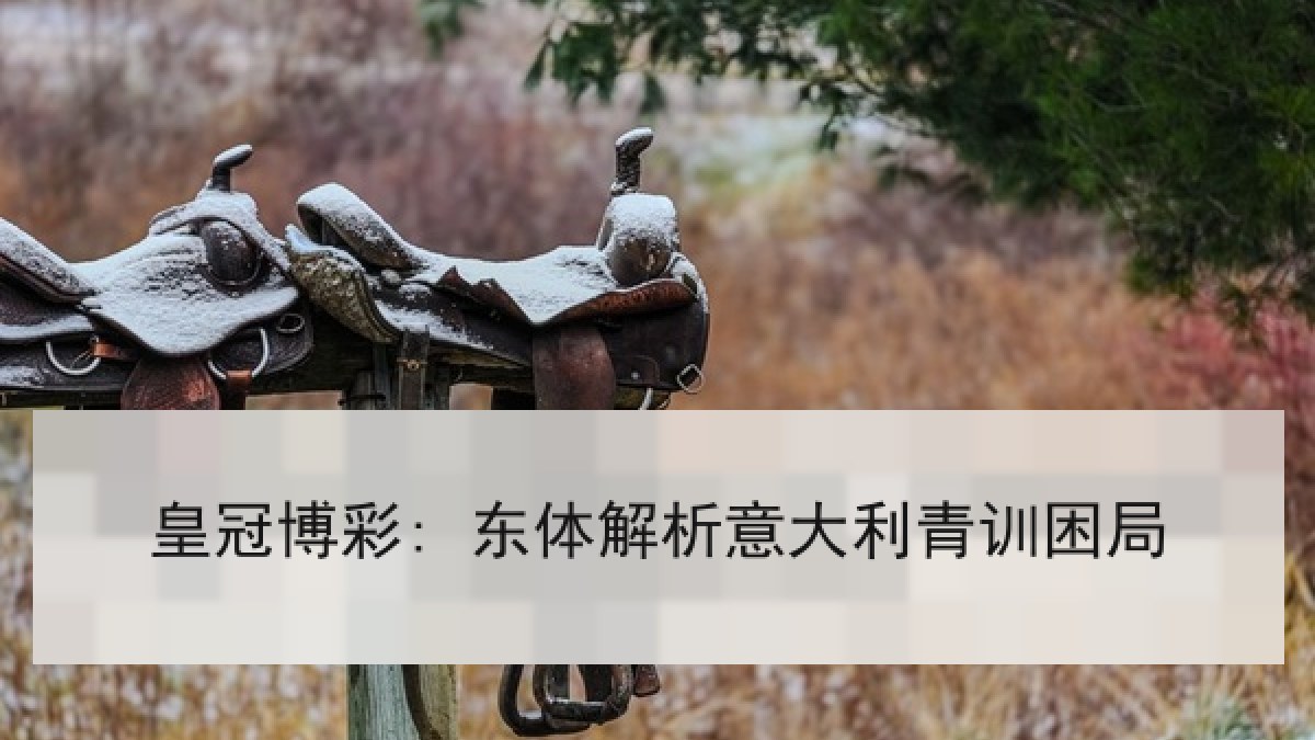 皇冠博彩: 东体解析意大利青训困局 皇冠博彩: 东体解析意大利青训困局